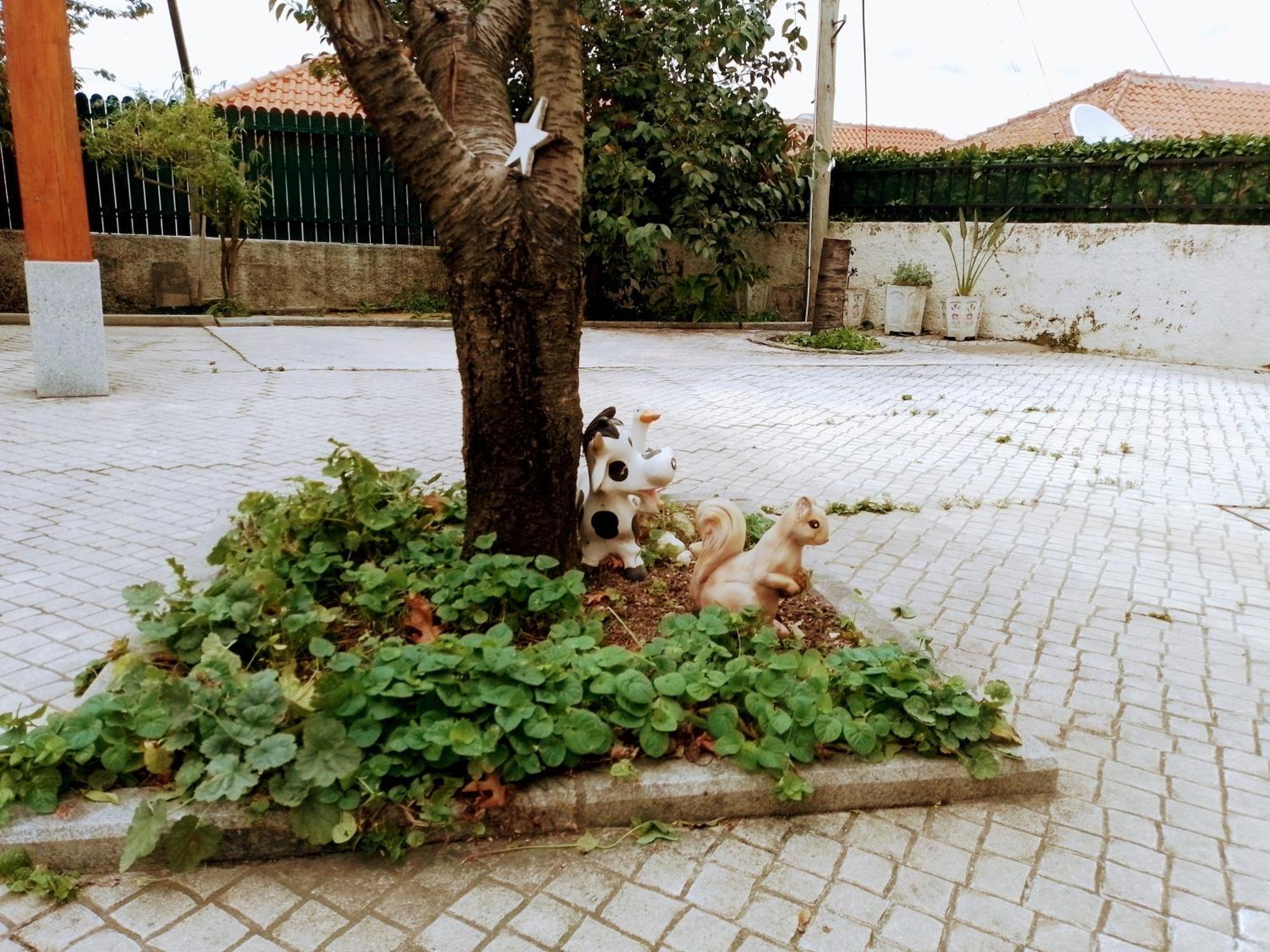 Casa Dos Quatro Irmaos Apartamento